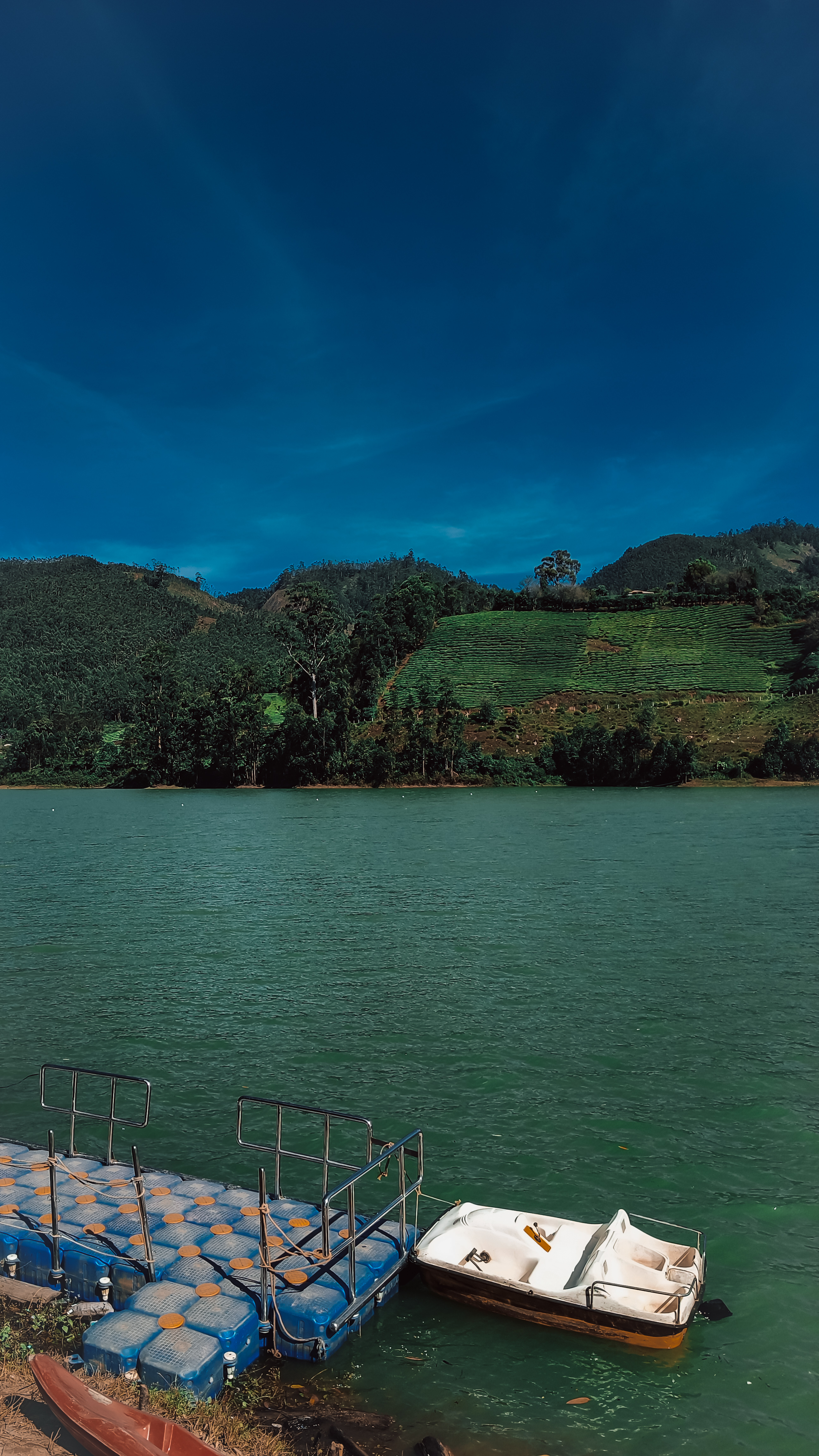 Mattupetty Lake and pedal boat tied to a dock in Munnar