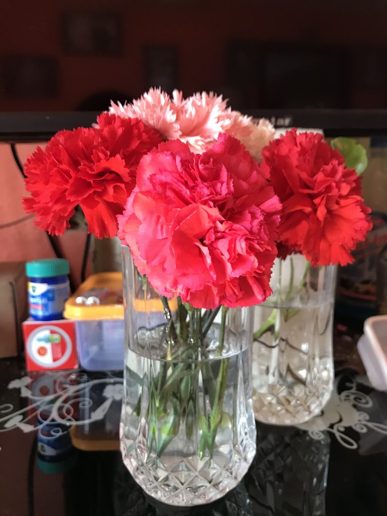 Red and white plants in transparent water glass.