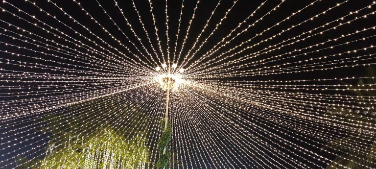 Lights converging to the top of a pole in a Indian wedding function.