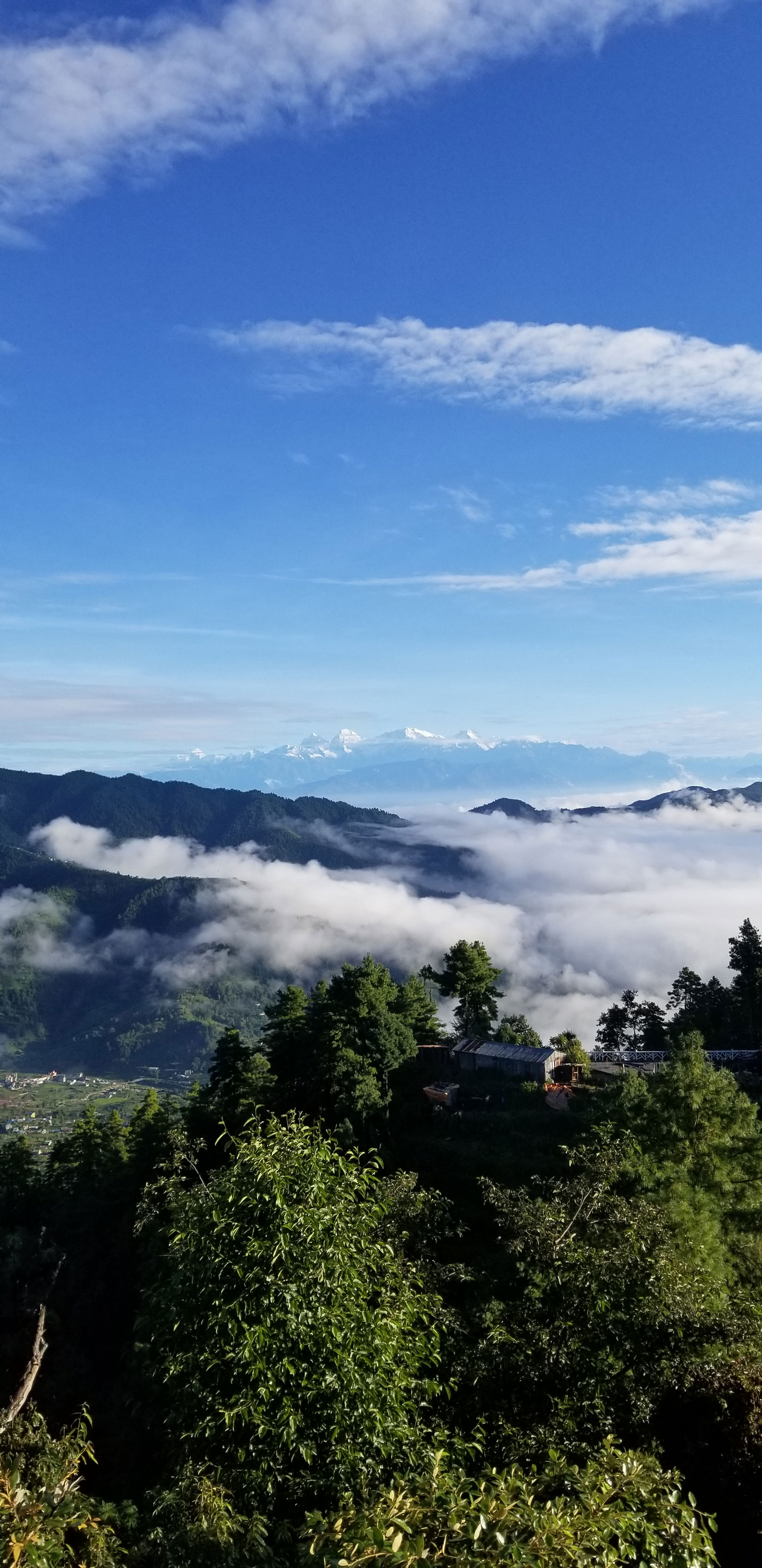 The scene depicted includes trees with mountains and Himalayas in the background, along with a cloudy blue sky. 