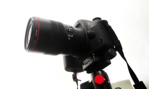 Canon EOS 6D Mark II camera with Canon EF 100mm f/2.8L Macro IS USM Lens on a white background