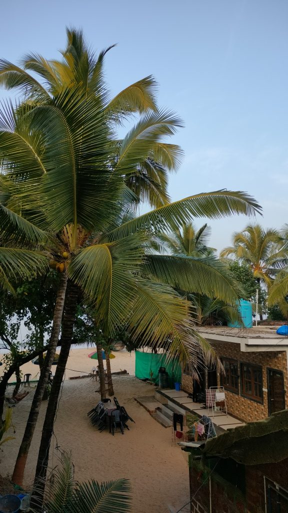 A photo of coconut tree on beach, behind it home stay room can be seen.