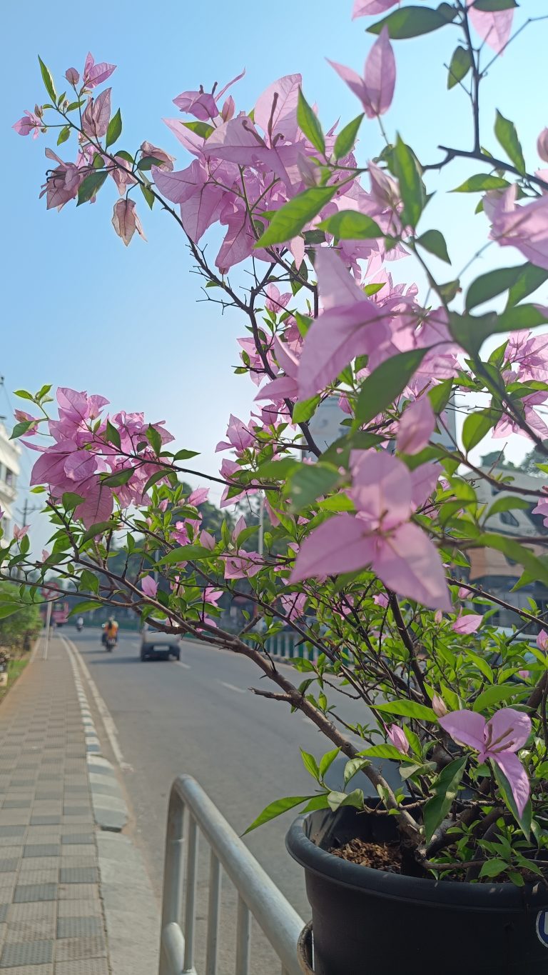 Close view of pink colour paper flower on the rails of a sidewalk of the road.