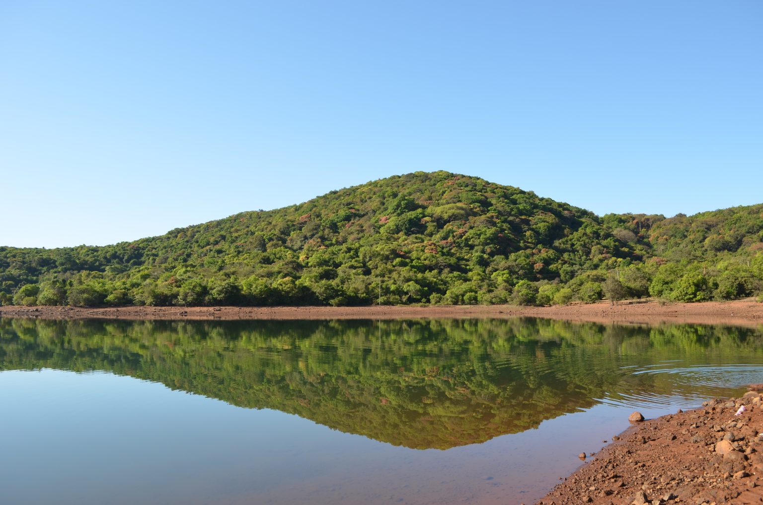 A photo of a lake surrounded by jungle.