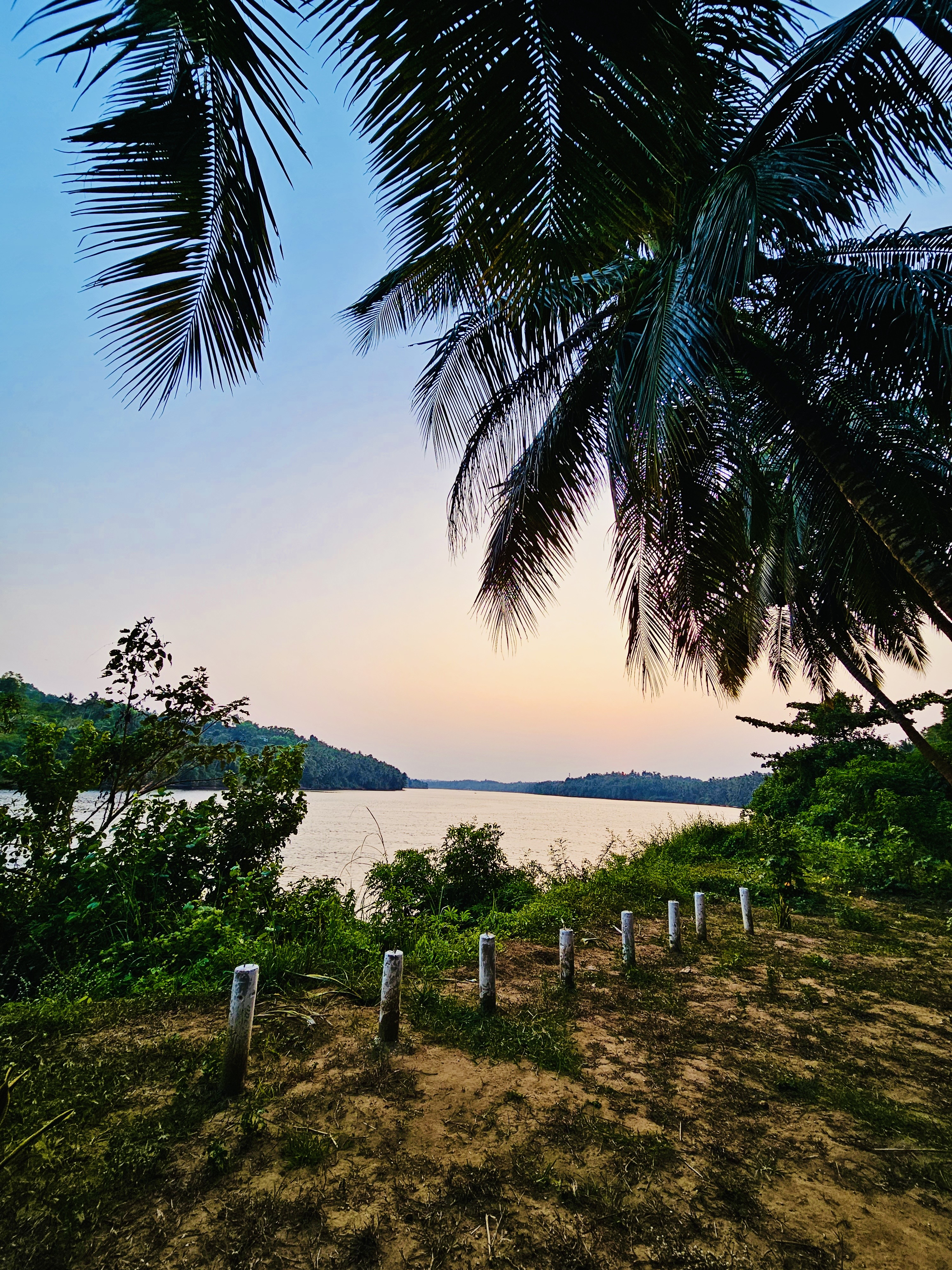 The banks of Chaliyar river with coconut trees, just after the sunset. From Perumanna, Kozhikode, Kerala.