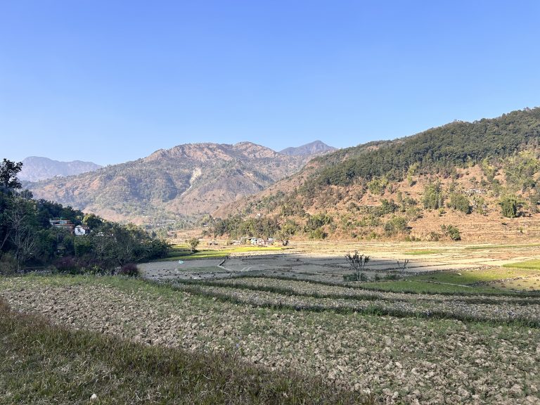 A field primed for cultivation, surrounded by lush greenery under a clear blue sky.