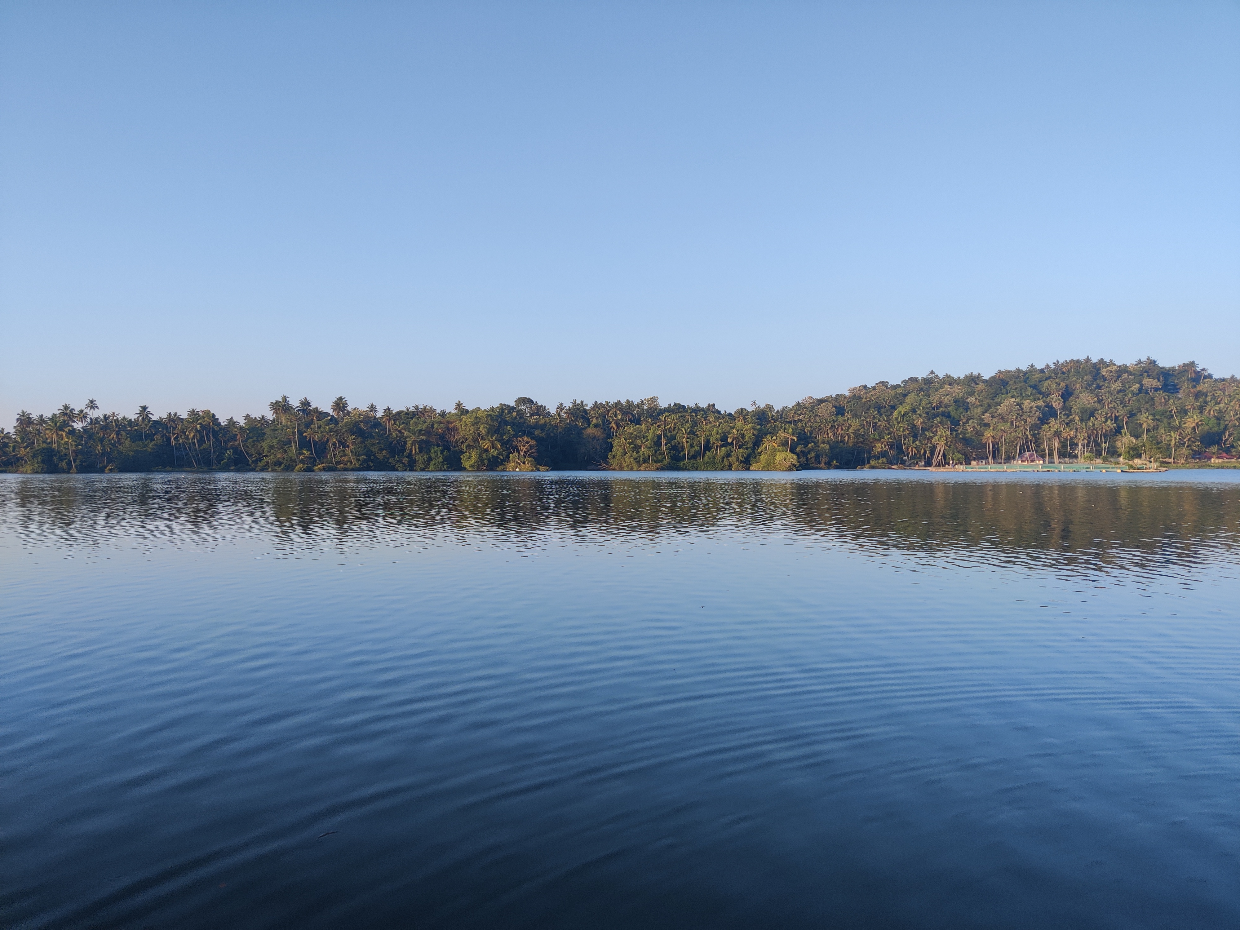 Looking across a calm lake at palm trees on the shore.