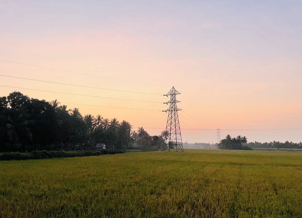 Rice fields with power lines going across the fields during dusk: Golden sun sets, casting warm glow on lush greens. Serene and captivating scene.