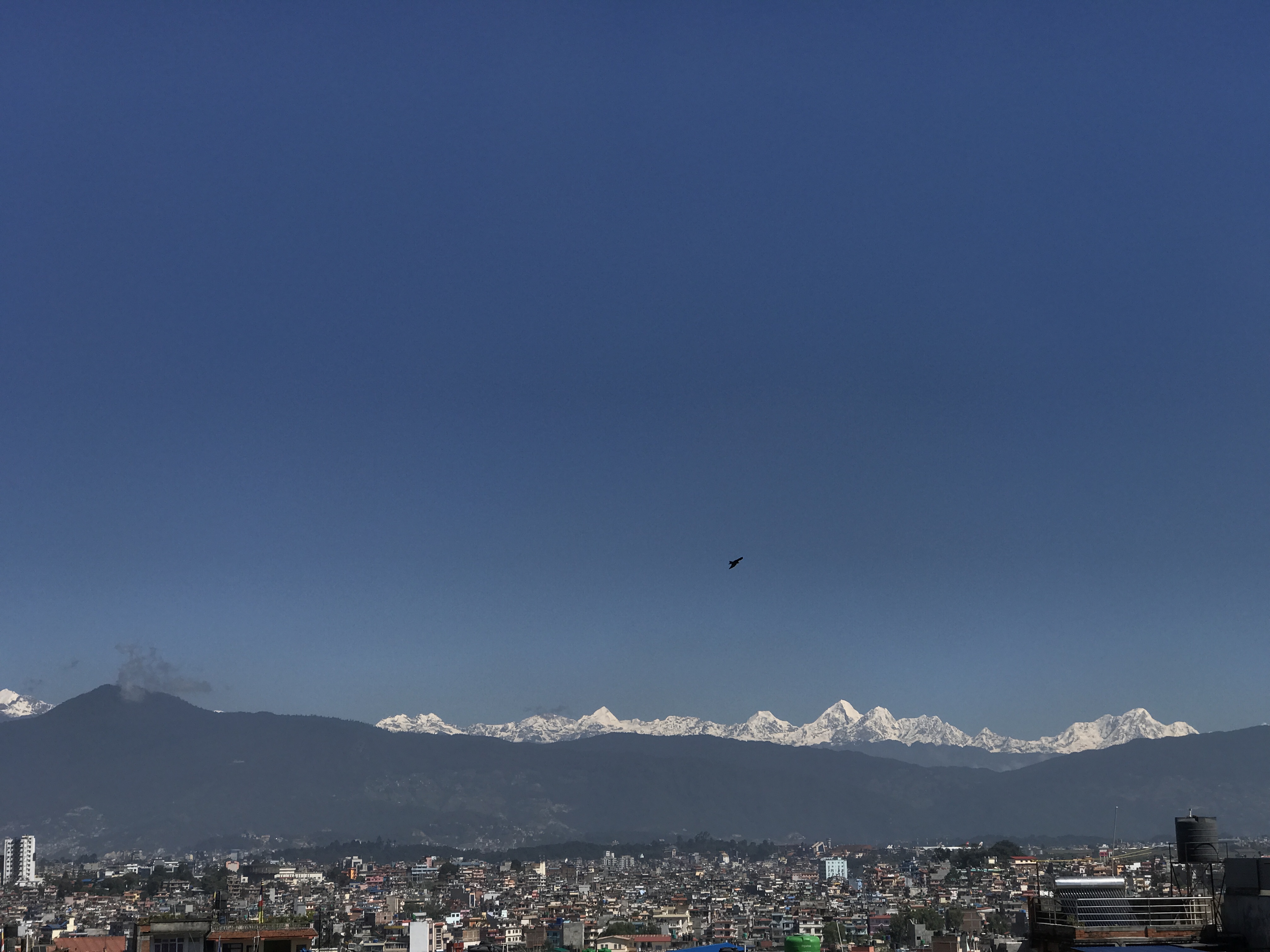 Mountain view from city with city buildings and bird flying.