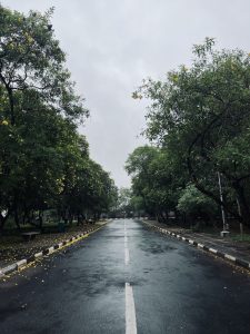 An empty road with walkway and trees with yellow flowers on both sides.