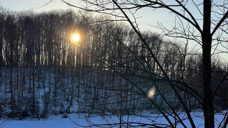 Afternoon sun peeks through winter bare trees along the shore of Little Elkhart Lake at Camp Anokijig (Plymouth, Wisconsin)