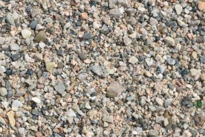 Small pebbles and stones cover the ground