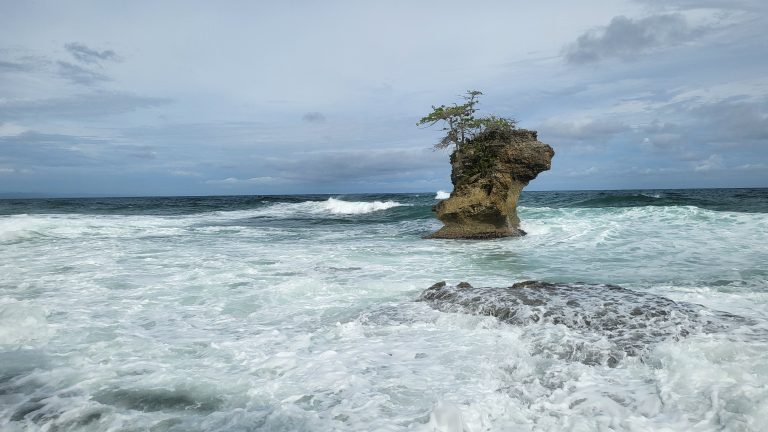 Small island in the middle of the ocean
Isla peque?a en medio del océano. Manzanillo Costa Rica