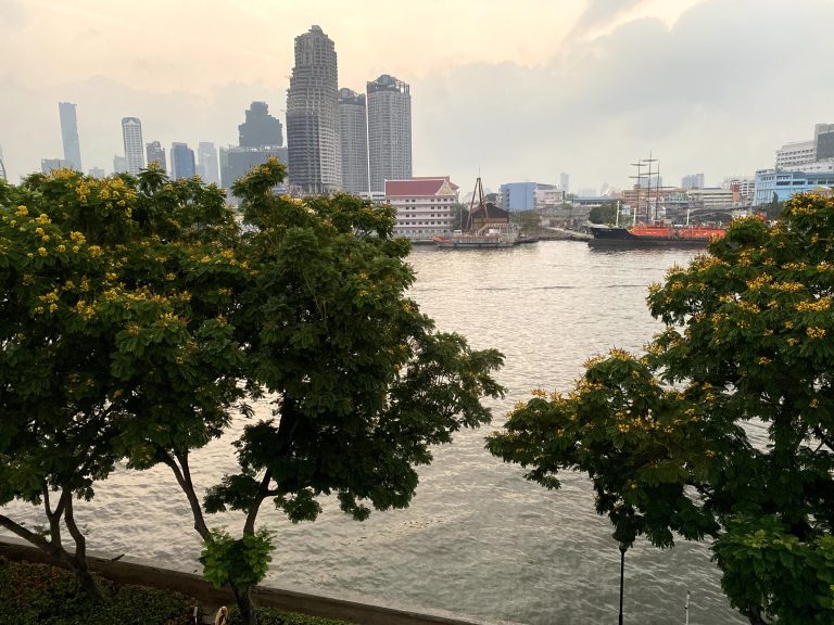 A body of water with a city in the background and tree with yellow flowers in the foreground.