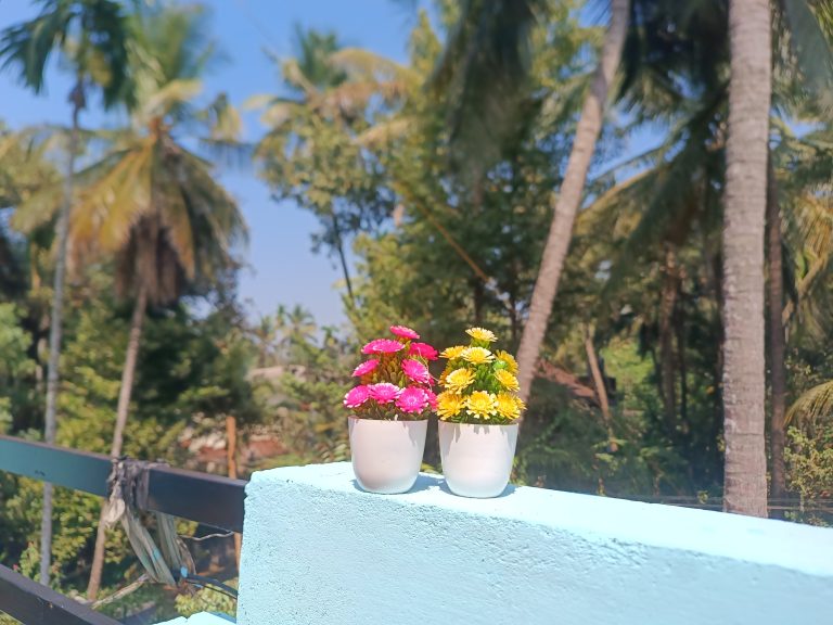 Two small cute pots hold a red and a yellow flower, with trees visible in the background.