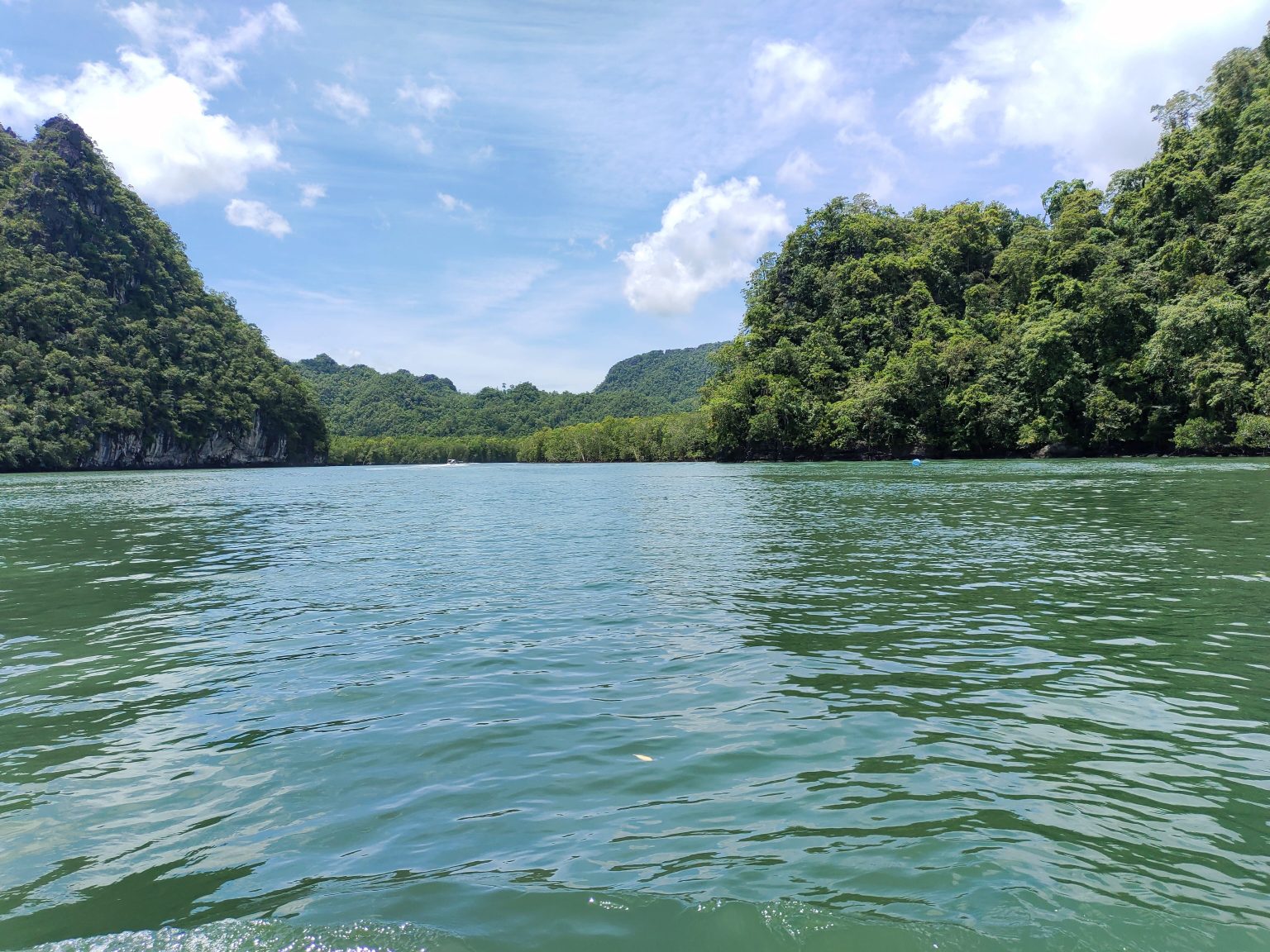 A body of water surrounded by mountains and trees