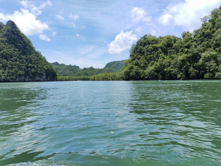 A body of water surrounded by mountains and trees