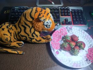 A toy tiger beside a computer keyboard is perched over a plate of strawberries

