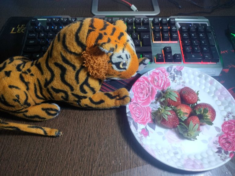 A toy tiger beside a computer keyboard is perched over a plate of strawberries