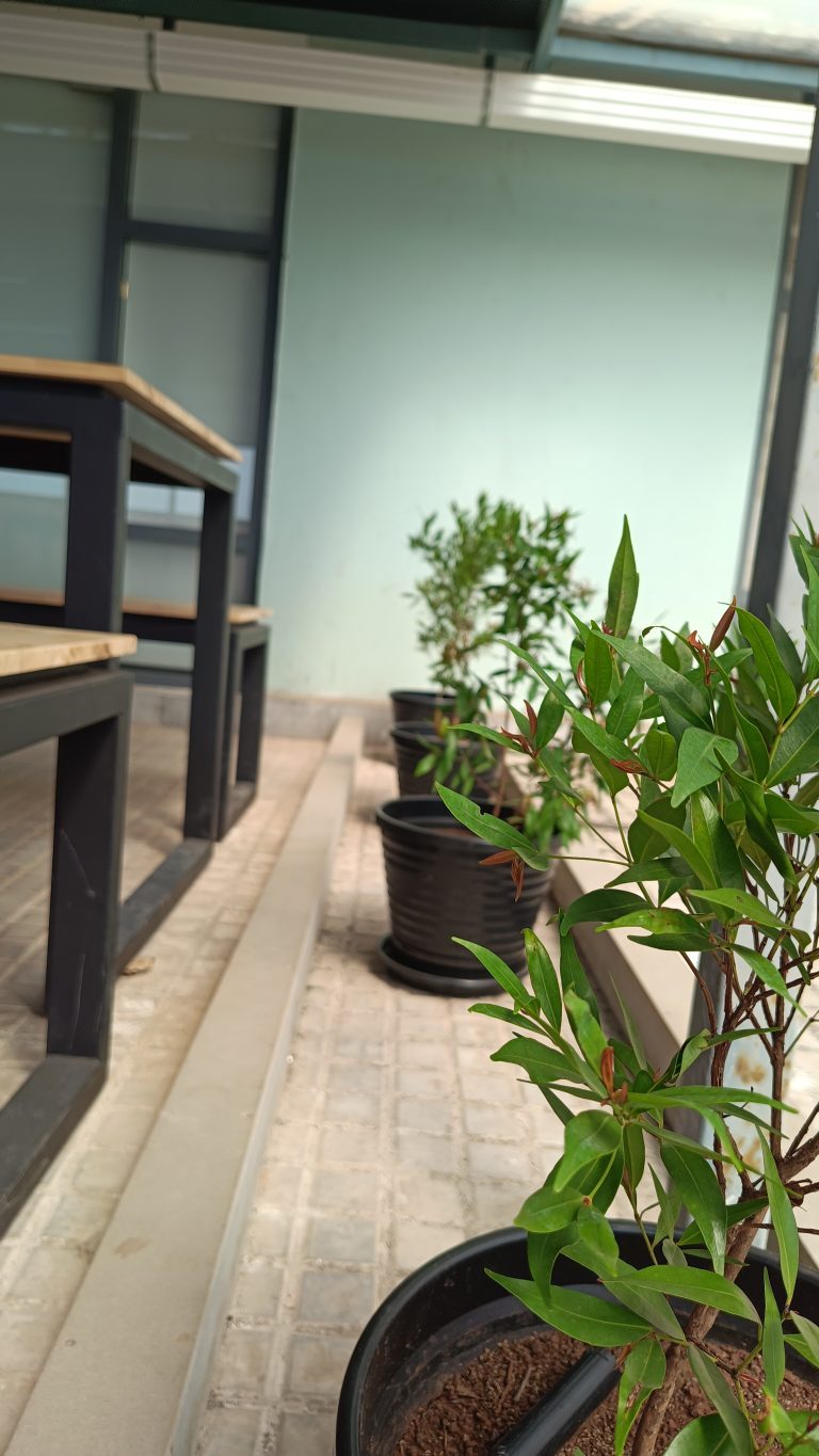 Plants in pots arranged along a window and a wooden bench on the side