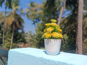 A small pots hold a yellow flower, with trees visible in the background.