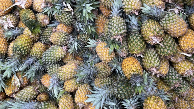 A vibrant display of pineapples fills the frame, fresh from Tinsukia’s Sunday Street Market in Assam, showcasing the local abundance and flavor.