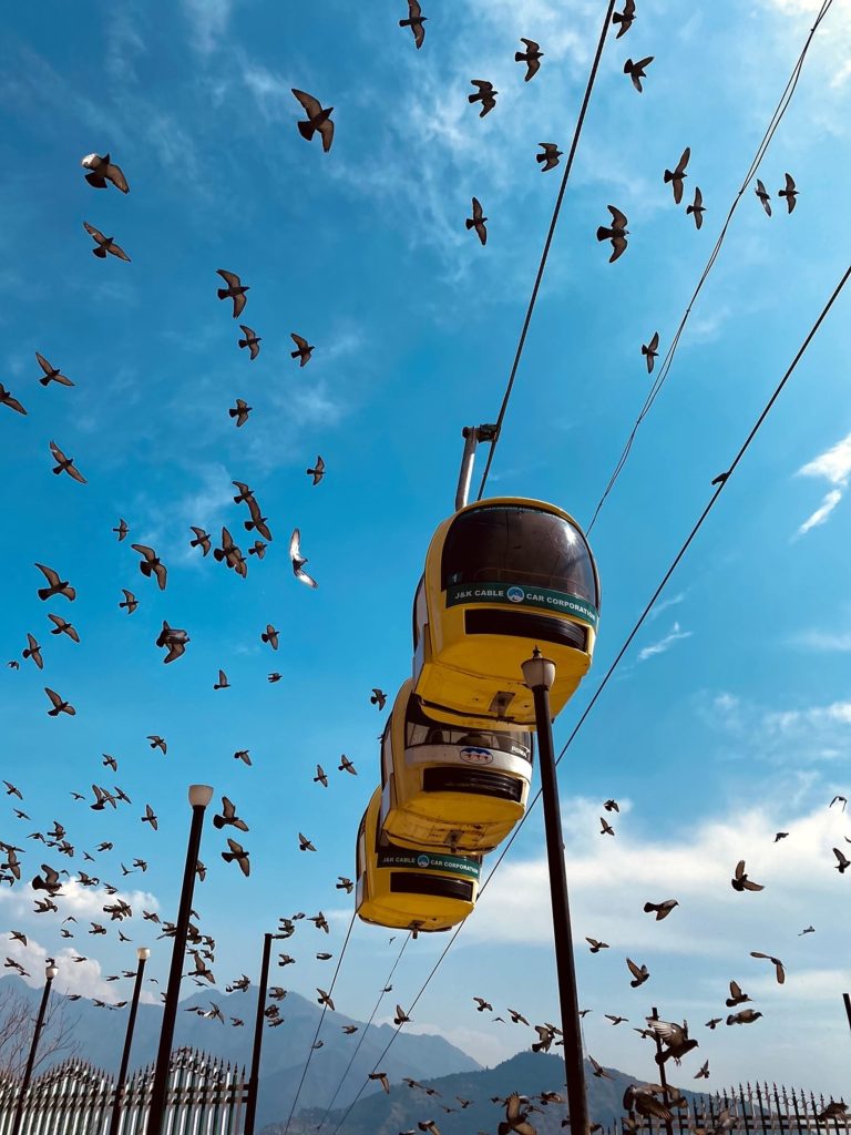 A cable car surrounded by birds in Srinagar, India