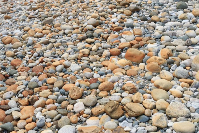 Grey and brown stones cover the ground