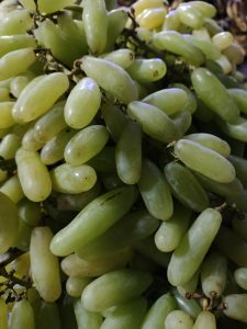 A bunch of green grapes