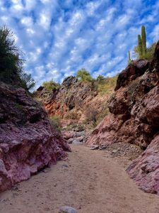 Desert alleyway with cactus growing on the ridge. 