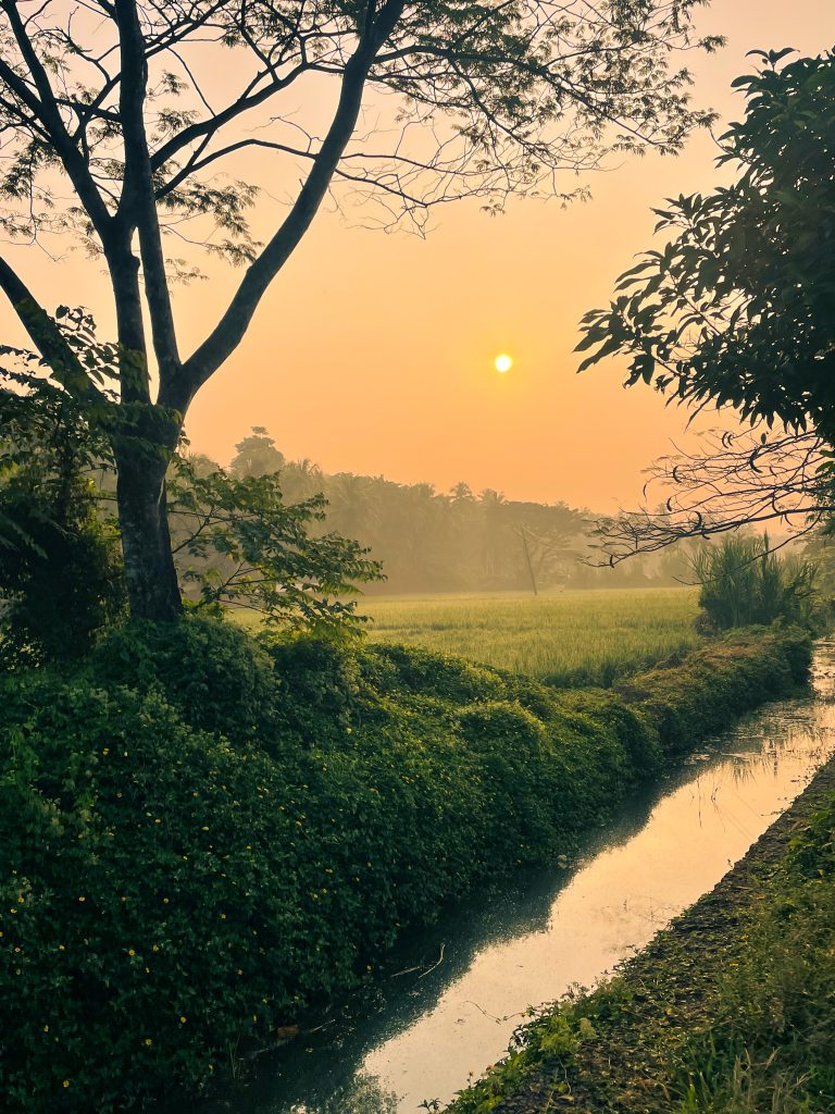 A perfect sunrise view from Kerala India in the morning.