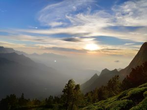 Seeing the sunrise from the mountain and the view of the tea garden and some green trees. 