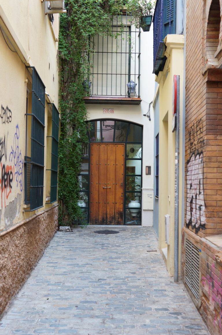 Small alley leading to a weathered wooden door.