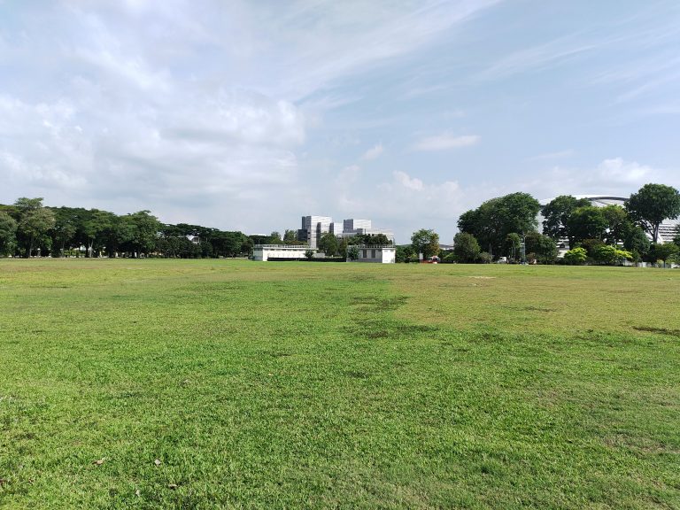 A grassy field with buildings in the background.