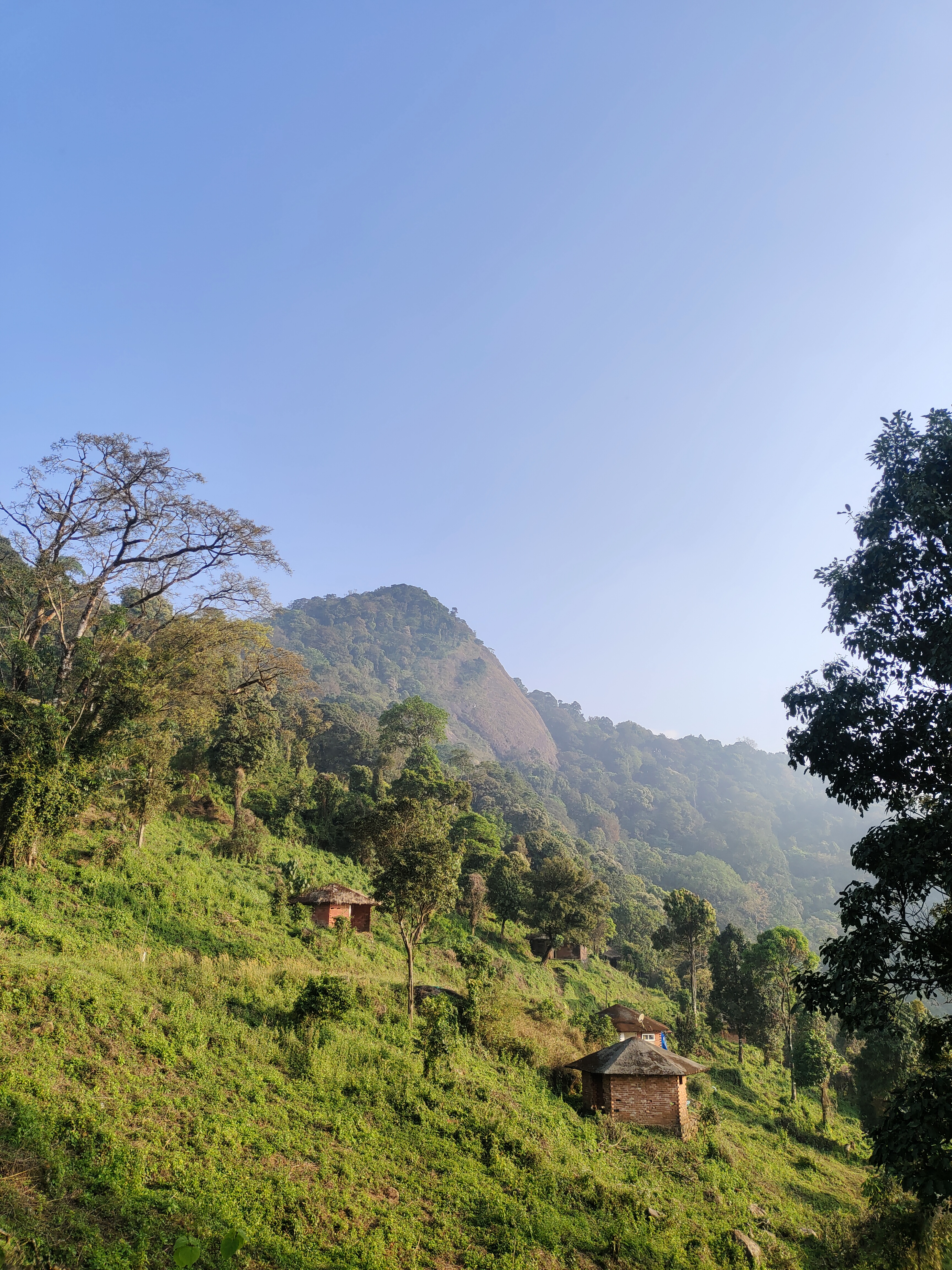 A side view of a mountain with small homes built on the slope.