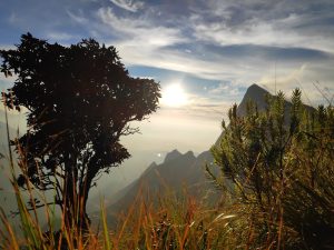 Sunrise in mountain and some tress and grass in foreground.