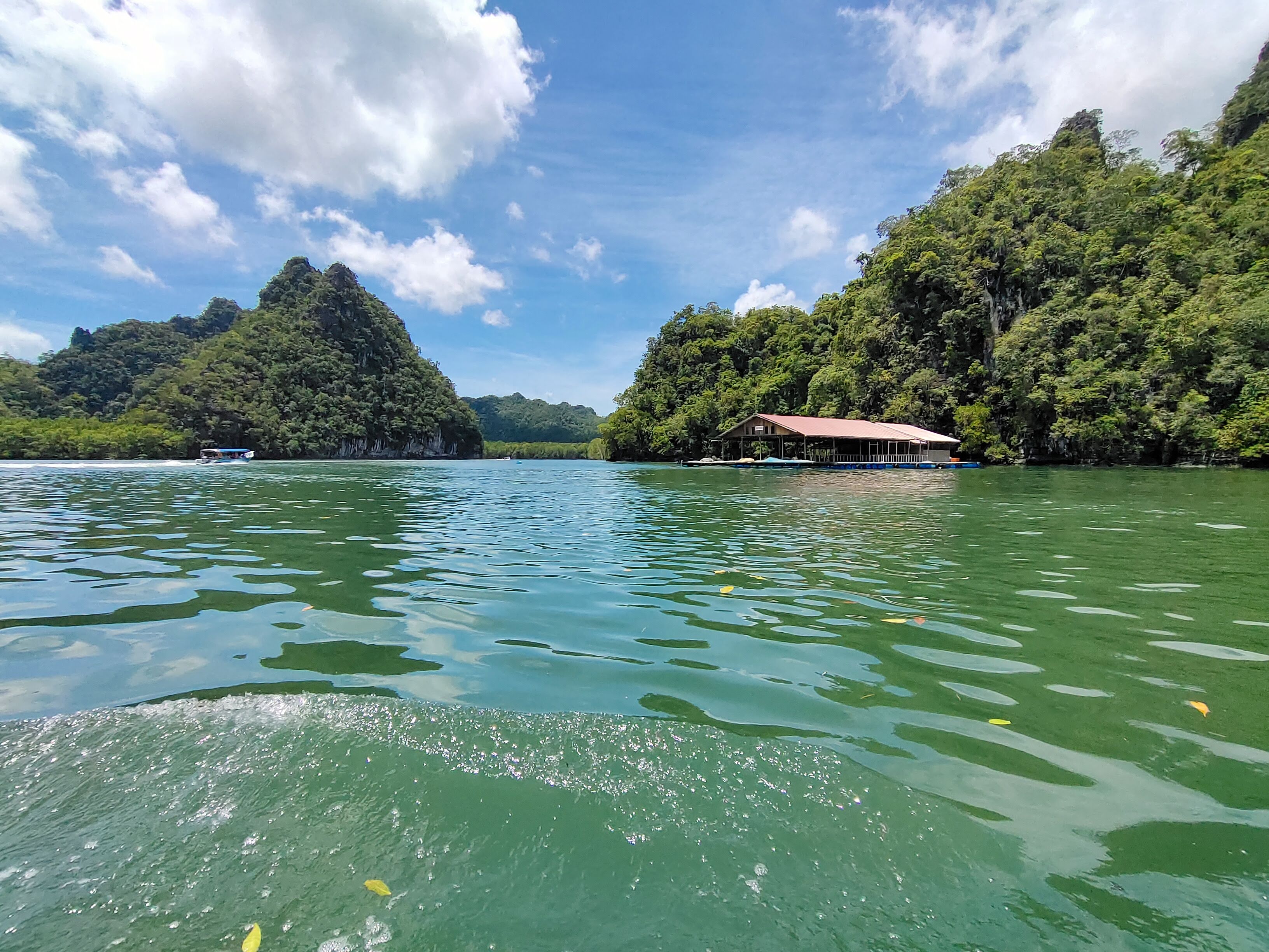 A body of water with trees and a building on the side