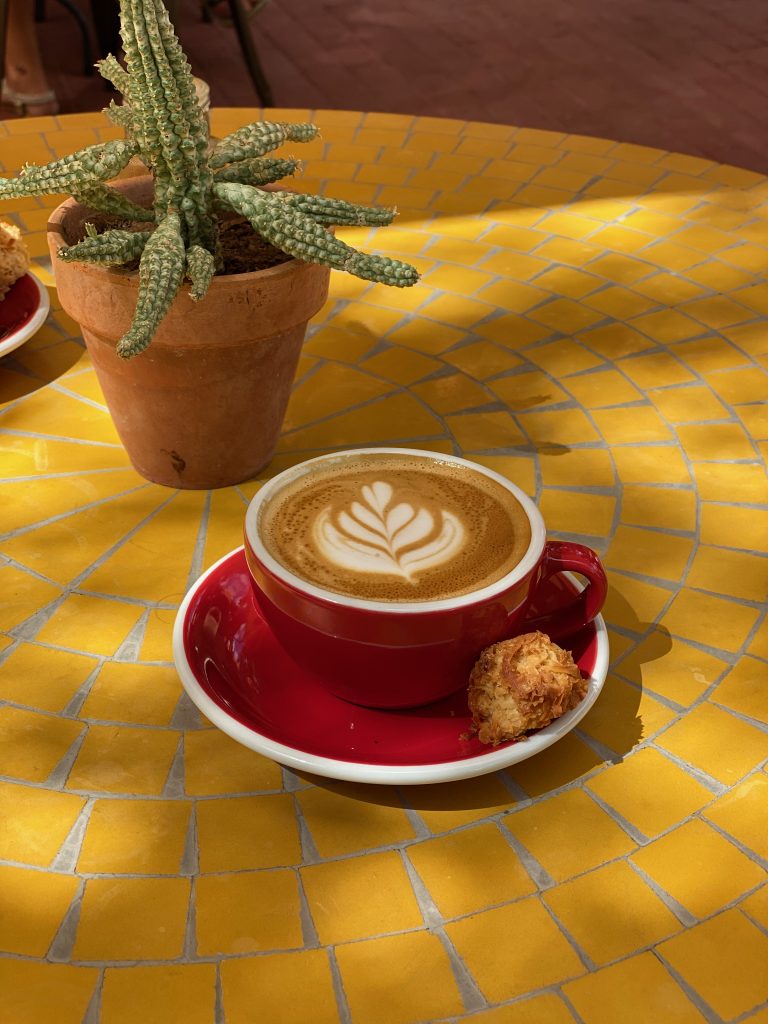 A cappuccino with a tulip pattern sits in a red cup on a table with yellow tiles. Next to the cup is a cookie, and on the table is also a small plant in a brown pot.