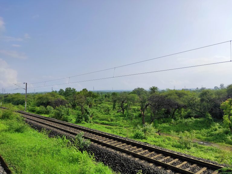 Railway track surrounded by lush green vegetation and a few trees, the track electrification cables suspended above the track. Electricity pylons visible in the far distance.