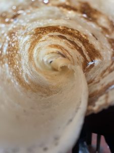 The inside of a dosa pastry.