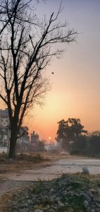 Golden rays of the early morning sun illuminate a landscape filled with trees, houses, and an unpaved road.