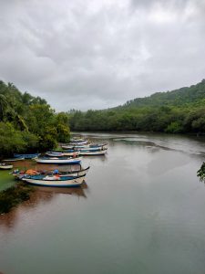 Serene waters reflect a fleet of boats, creating a peaceful and picturesque moment by the lakeside.