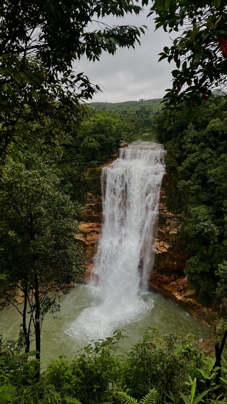 Waterfall falling down from a rocky cliff into a pool in the forest.