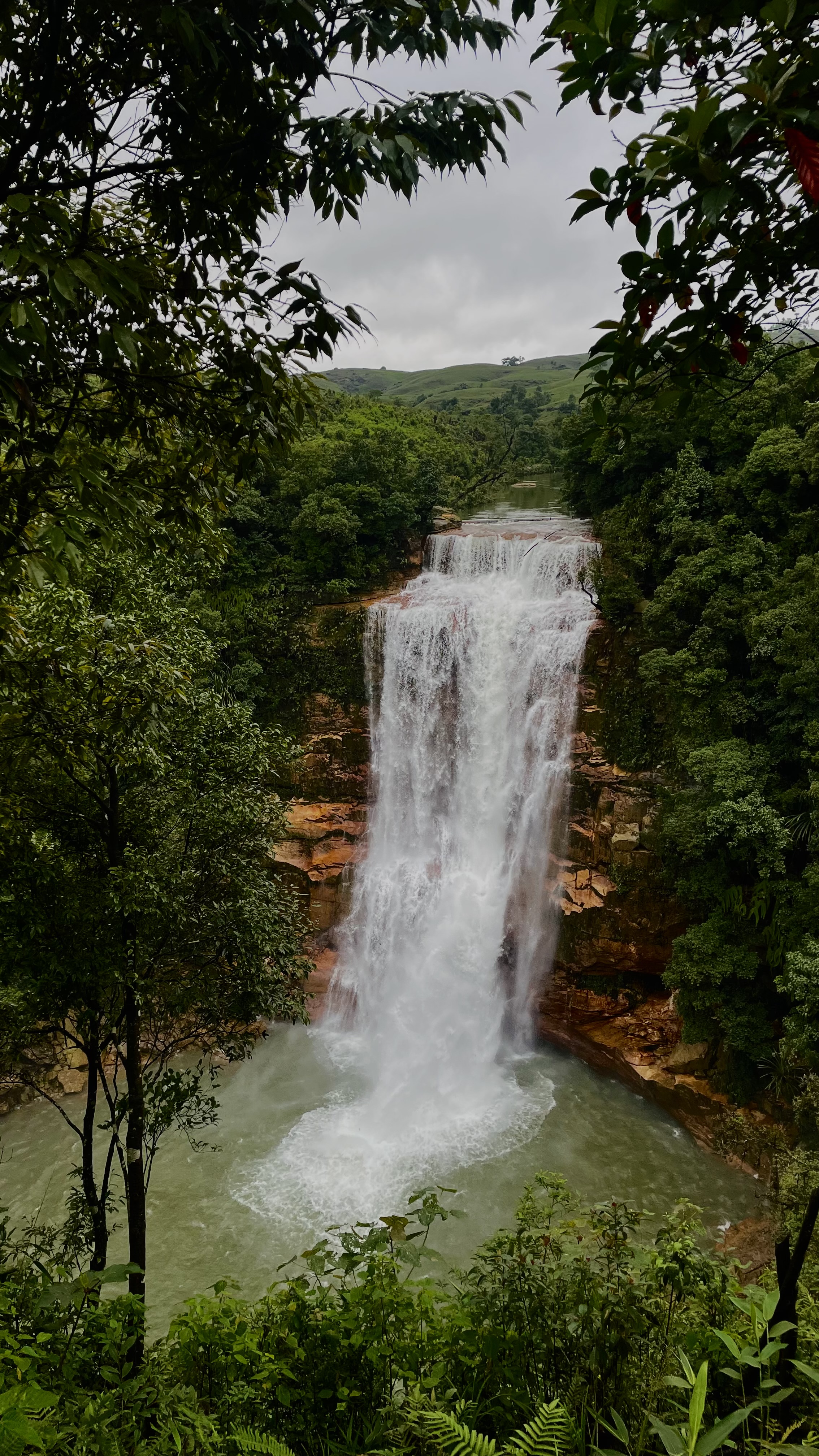 Waterfall falling down from a rocky cliff into a pool in the forest. 