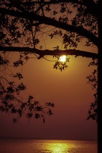 Golden hour at the beach: A captivating sunset paints the sky with warm hues, casting a tranquil glow over the serene waters, creating a breathtaking coastal masterpiece. Waves gently kiss the shore, as nature's beauty unfolds in this picturesque moment of tranquility.