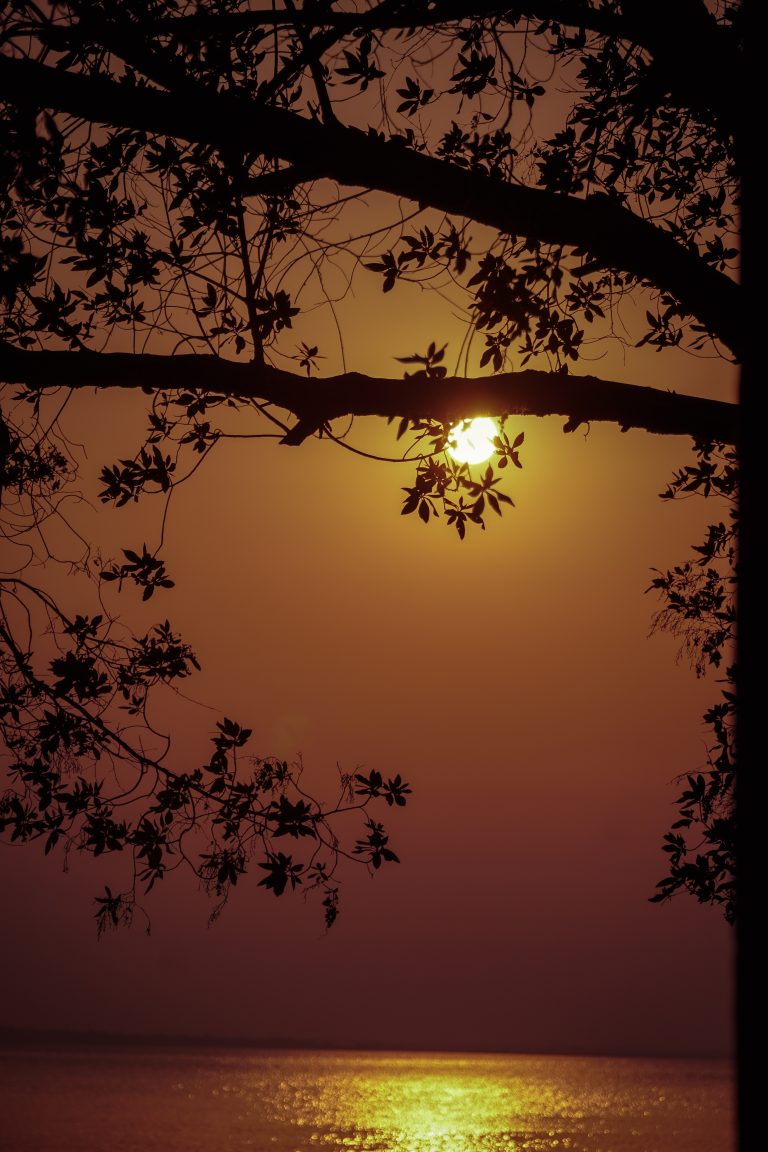 Golden hour at the beach: A captivating sunset paints the sky with warm hues, casting a tranquil glow over the serene waters, creating a breathtaking coastal masterpiece. Waves gently kiss the shore, as nature’s beauty unfolds in this picturesque moment of tranquility.