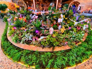 A circular display of flowers and plants in Iconsiam mall Bangkok.