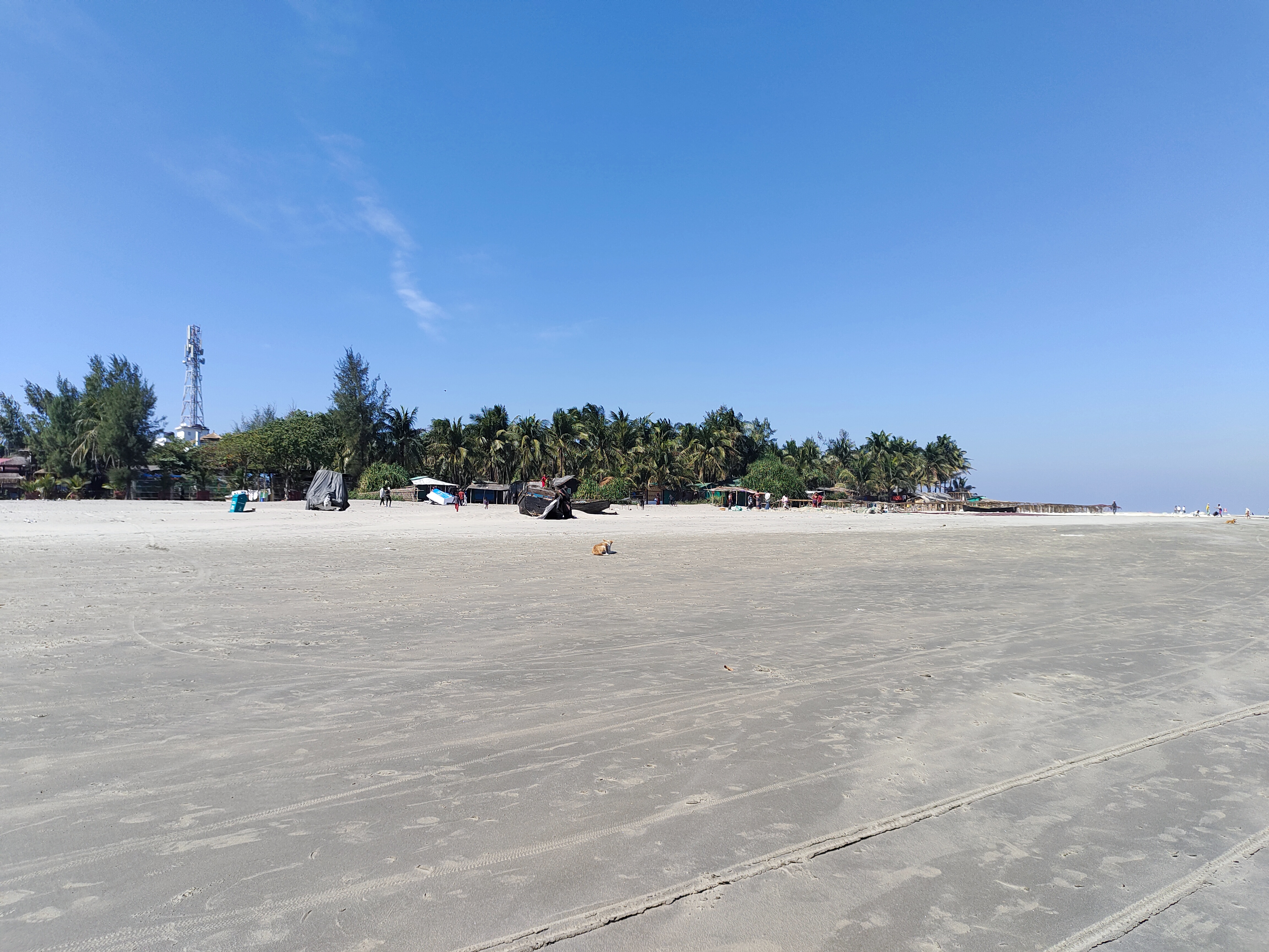 Sandy beach with trees in the background and a blue sky overhead