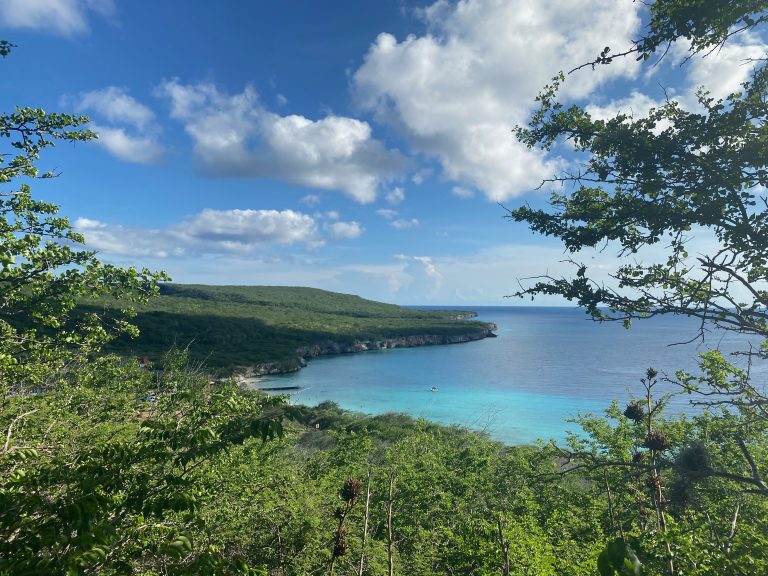 View from a small hill at Playa Porto Marie beach on Cura?ao. The water is turquoise, clear and very calm. There are a few clouds in the blue sky.