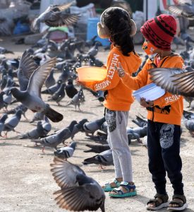 Children feeding pigeons on a street.